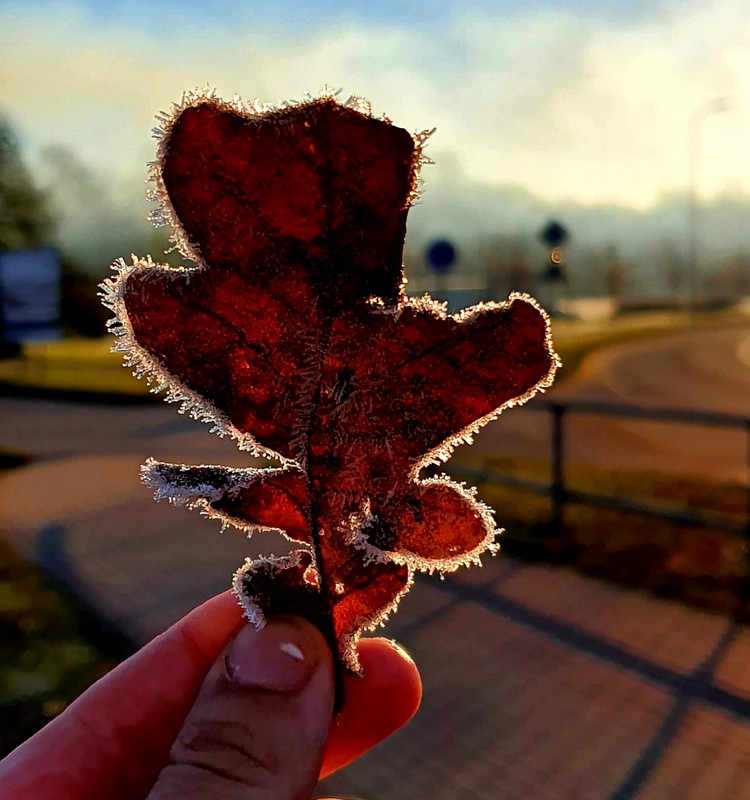 Kā sadzīvot ar mūsdienu tik bieži pieminēto Veģetatīvo distoniju