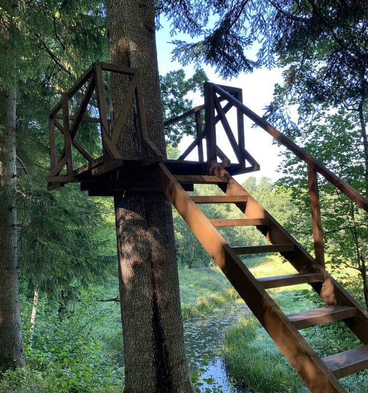 VASARAS GIDS: Cīravas mežaparks
