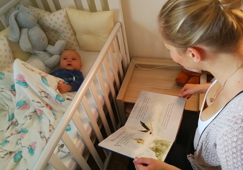 Laimīga mazuļa dienasgrāmata: Seši mēneši vienā kustībā un iepazīstot pasauli.