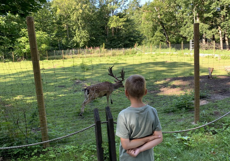 VASARAS GIDS: Elistveres dzīvnieku parks Igaunijā