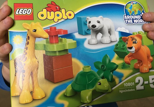 Ko dāvināt bērnam? Lego!