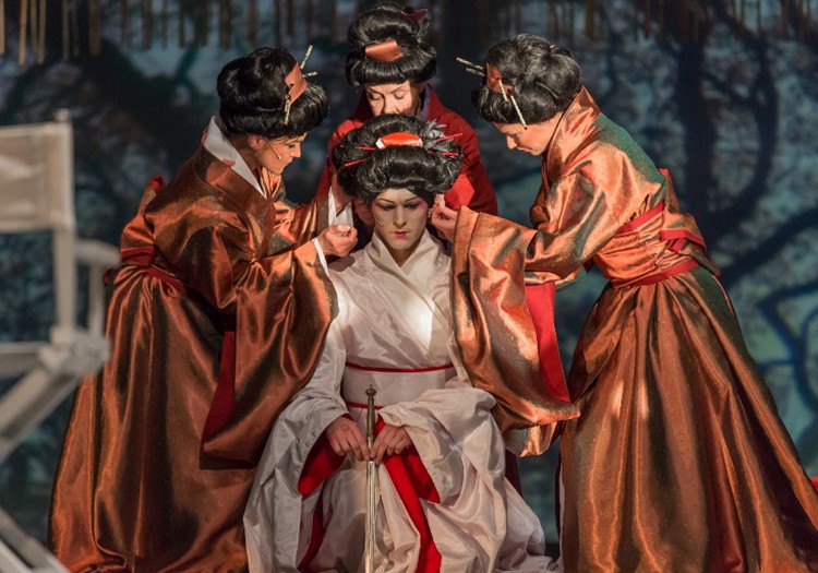 Dailes teātrī notiks austrumnieciskas drāmas „M.Butterfly” pirmizrāde