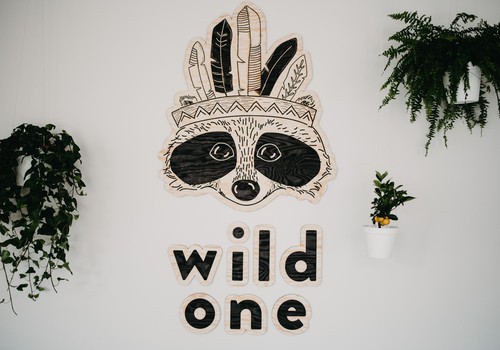 KONKURSS: Laimē ballīti superīgajā svētku un rotaļu telpā bērniem WILD ONE!