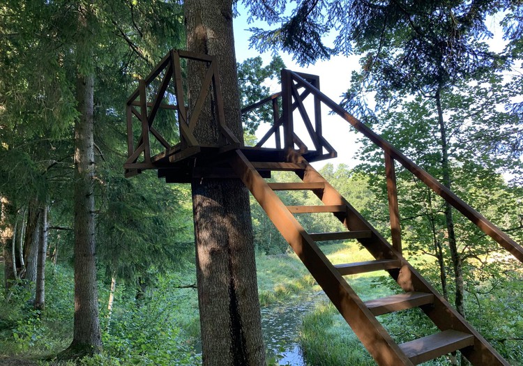 VASARAS GIDS: Cīravas mežaparks