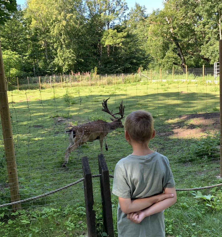 VASARAS GIDS: Elistveres dzīvnieku parks Igaunijā