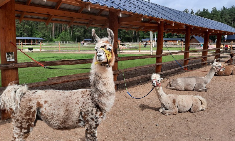 Zoo “Rakši”