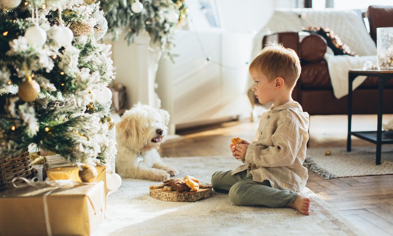 Ziemassvētku dāvanu ceļvedis: Idejas dāvanām 3-4 gadus veciem bērniem