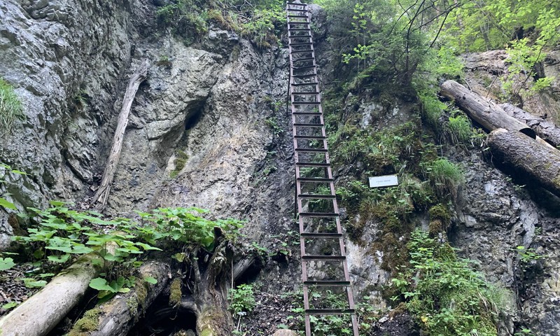 Vasaras gids: Kyseľ - Ferrata Slovākijā